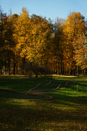Warm autumn day in a bright color park. Orange foliage and trees in the forest. Rest, picnic and tranquility in nature. Calm and serenity. Falling autumn leaf from a tree.の写真素材