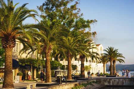 JUNE, 2017,  PORTO MONTENEGRO, Tivat, Montenegro. Beautiful tropical wallpaper. White stone embankment with palm trees, modern luxury architecture. Welfare and travel. Soft focus and beautiful bokeh.のeditorial素材