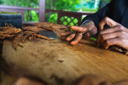 Process of making traditional cigars from tobacco leaves with hands using a mechanical device and...