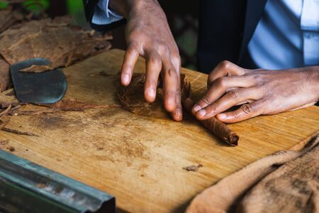 Process of making traditional cigars from tobacco leaves with hands using a mechanical device and press. Leaves of tobacco for making cigars. Close-up, soft focus and beautiful bokeh.の写真素材