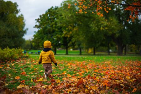 Warm day in the autumn city park. Bright yellow autumn leaves on the ground. Autumn background. Maple leaves, symbol. Soft focus and beautiful bokeh.の写真素材
