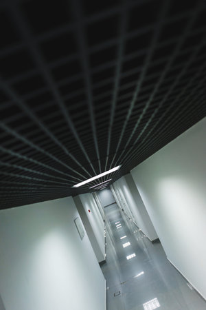 Interior internal corridor of modern office, industrial premises, laboratories or institutions....