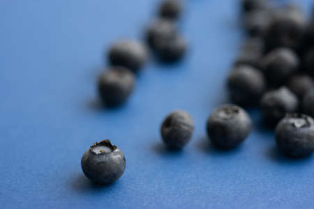 Blueberry berry on a classic blue background.の写真素材