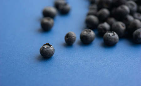 Blueberry berry on a classic blue background.の写真素材