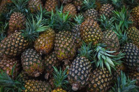 Plenty of fresh pineapple fruits on a counter in a market in a store or supermarket. Farm products. Vitamins and healthy foods. Fruits and vegetables in Asia.の写真素材