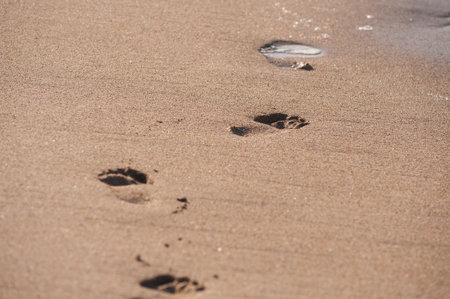 Footprints of a man on a sandy beach. Travel and beach vacation, walk along the ocean. Concept.