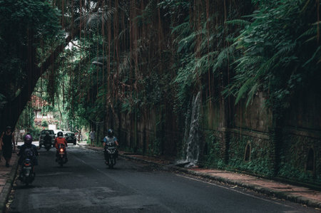 Busy traffic on the island of Bali.