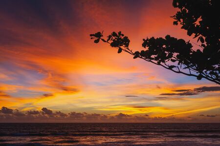 Magical dramatic sunset on a tropical beach. Tropical landscape, silhouetted with palm branches on a sunset background. Golden hour. Concept. Clouds in the sky are painted in different colors.の写真素材