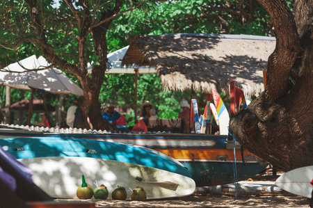 Tropical beach landscape. A beach with fishing boats, sunbeds with a parasol, coconuts and various...