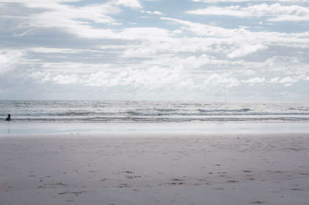Monochrome tropical seascape. View from the sandy beach to the ocean and the waves on a warm summer morning. Travel concept. Soft focus. Travel and beach vacations. Lack of people. Isolation.のeditorial素材