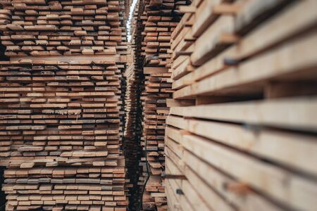 Wood and Sawmill. Large round logs harvested for construction.の写真素材