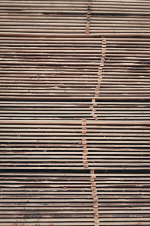 Wood and Sawmill. Large round logs harvested for construction.の写真素材