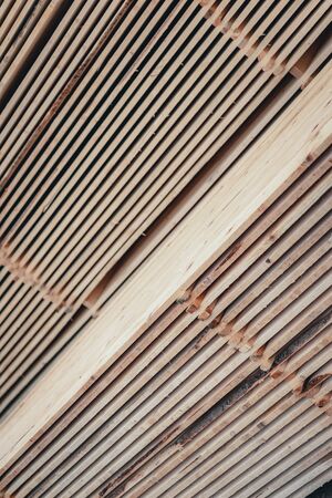 Wood and Sawmill. Large round logs harvested for construction. Production and sale of building materials. Stacked boards and logs. The texture of wood.の写真素材