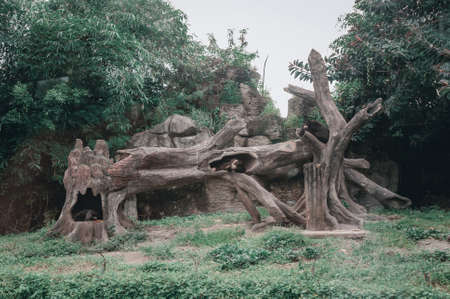 BALI, SAFARI AND MARINE PARK SPRING, 2020: Animals in their natural habitat. Safari and marine park on the island.のeditorial素材