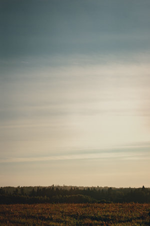 Natural landscape: early morning in a field overlooking the valley. Fog at sunset in the field. Country life. Ecology and environment. Creative toning and soft focus.の写真素材