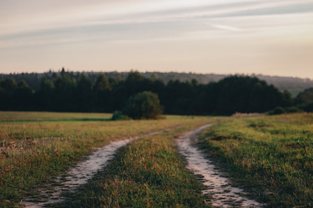 Beautiful country road. Natural landscape: early morning in a field overlooking the valley. Fog at sunset in the field. Country life. Ecology and environment. Creative toning and soft focus.の写真素材