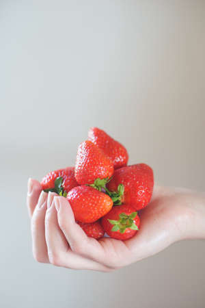Girl holds a handful of fresh pure strawberries in her palms.の写真素材