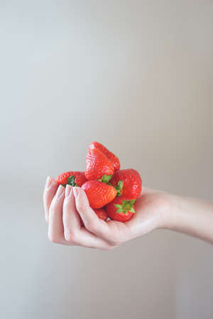 Girl holds a handful of fresh pure strawberries in her palms.の写真素材
