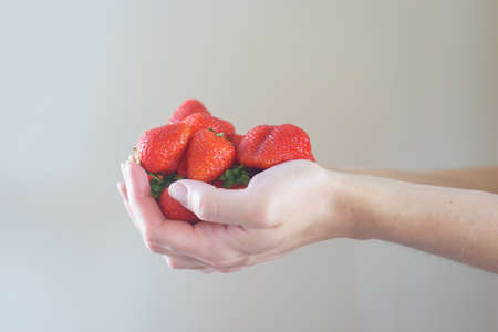 Girl holds a handful of fresh pure strawberries in her palms.の写真素材