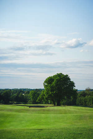 Golf course. Summer landscape overlooking the hills of the golf course. Holes and sand traps in the field. Summer hobbies and sports. Golf Club.の写真素材