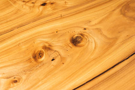 Style wooden countertop slab, saw cut wood treated with varnish close-up on black. Isolate.の写真素材