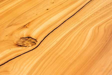 Slab and countertop, saw cut wood treated varnish close-up on a black background. Isolate. Luxury wood for countertops and tables. Design materials, details for presentation and shop. Concept.の写真素材