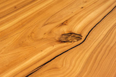 Slab and countertop, saw cut wood treated varnish close-up on a black background. Isolate. Luxury wood for countertops and tables. Design materials, details for presentation and shop. Concept.の写真素材