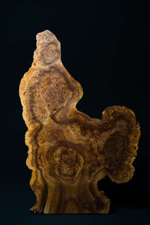 Style wooden countertop slab, saw cut wood treated with varnish close-up on black. Isolate.の写真素材