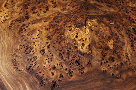 Extreme close-up, wood texture, wooden countertop slab, saw cut wood on black. Isolate.の写真素材