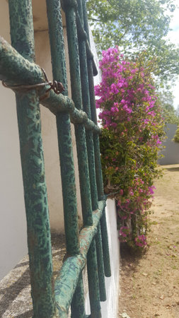 outdoor windowの写真素材