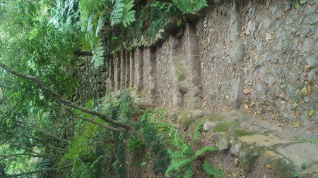 stone path