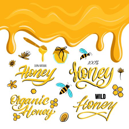 Fine lettering Honey for label. Product design natural honey. Vector illustrationのイラスト素材
