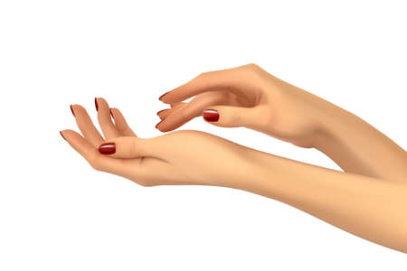 Realistic women hands with elegance manicure on white backgroundのイラスト素材
