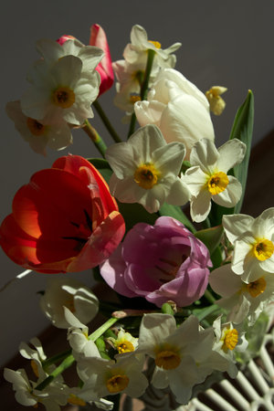 blooming flowers in vase