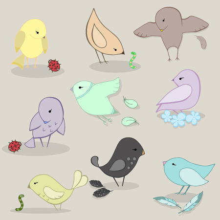 Cute collection of funny colorful birdsのイラスト素材