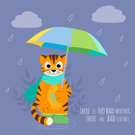 Cute tiger in the rain with an umbrella, in a scarf and in gumboots. Cartoon Style Vector Illustration. Poster with lettering. Symbol of yearのイラスト素材