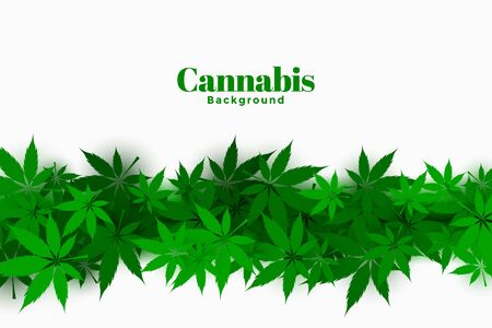 stylish cannabis background with marijuana leaves designのイラスト素材