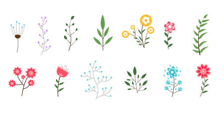 minimal flowers and leaves collection decorative designのイラスト素材