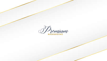 premium white and golden lines background designのイラスト素材