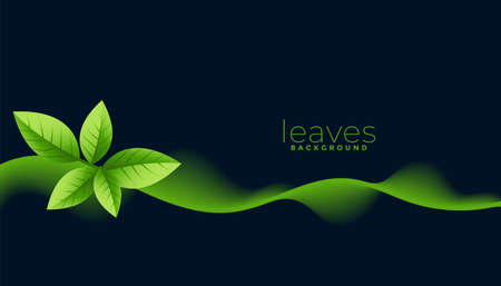 green leaves on dark background design