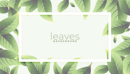 eco green leaves frame background designのイラスト素材