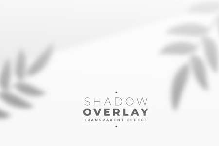 transparent leaves overlay shadow effect backgroundのイラスト素材