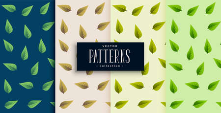 realistic green leaves pattern set designのイラスト素材