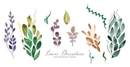 watercolor leaves decoration assortment setのイラスト素材
