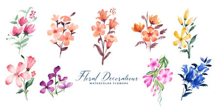cute small watercolor flowers decoration big setのイラスト素材