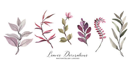 watercolor leaves and flower decoration setのイラスト素材