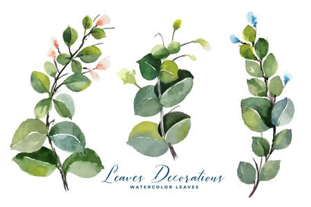 watercolor green leaves bouquet collectionのイラスト素材