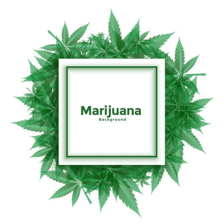 cannabis marijuana leaves frame backgroundのイラスト素材