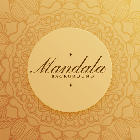 elegant mandala pattern background in indian style vectorのイラスト素材