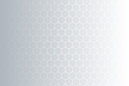 elegant geometric pattern grey backdrop for presentation vectorのイラスト素材